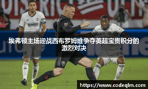 埃弗顿主场迎战西布罗姆维争夺英超宝贵积分的激烈对决